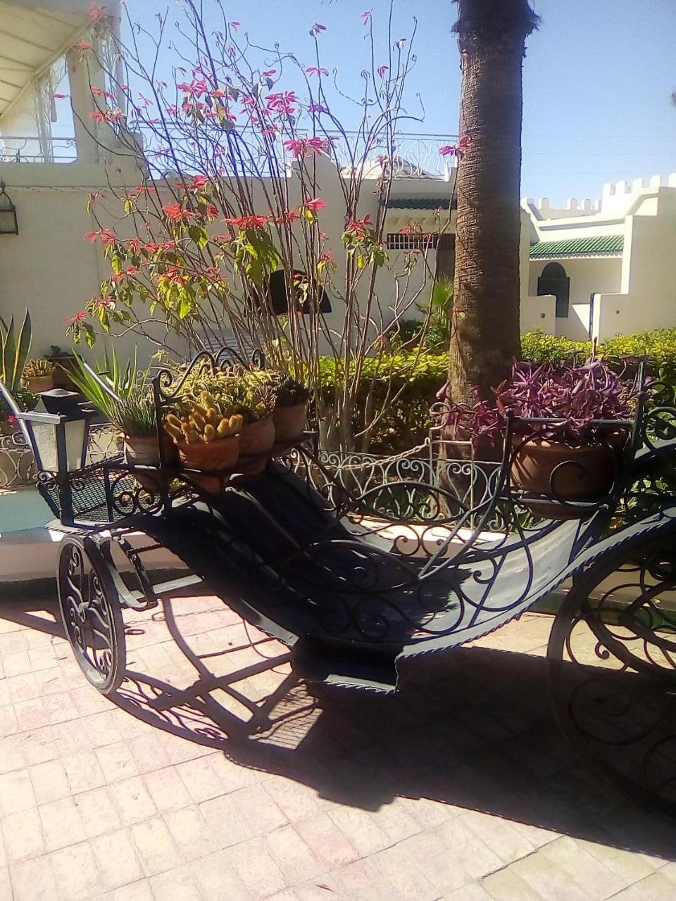 Hotel Riad L' Arganier D' Or Aït el Rhazi Dış mekan fotoğraf